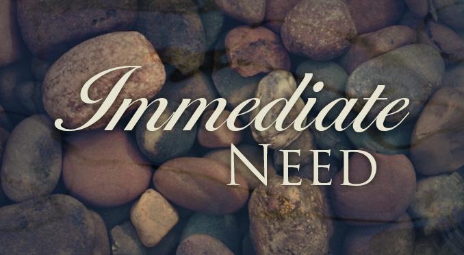 Immediate Need Arrangements